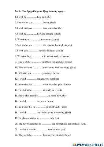 Review câu điều ước