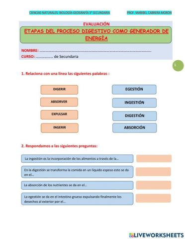 El proceso digestivo