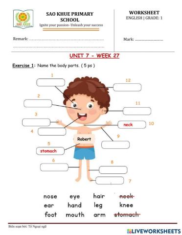 EOW1-unit 7:My body- Week 27