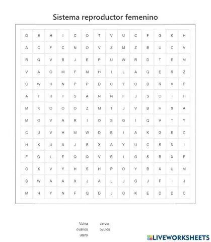 Sistema reproductor femenino