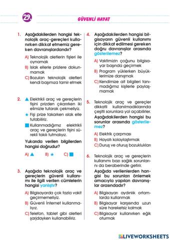 2-Hayat Bilgisi Güvenli Hayat Test-4