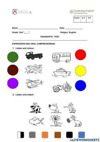 Diagnostic text- 2022