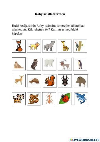 Roby az állatkertben