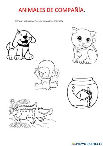 Animales de compañía