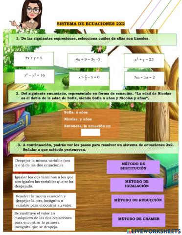 Sistema de ecuaciones 2x2