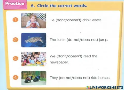 A : Circle the correct words.