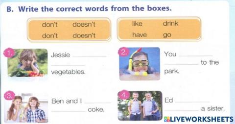 B: Write the correct words from the boxes.