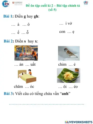 Phiếu ôn tập cuối học kì 2 BT chính tả - số 5