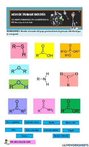 Grupos Funcionales en las Biomoléculas
