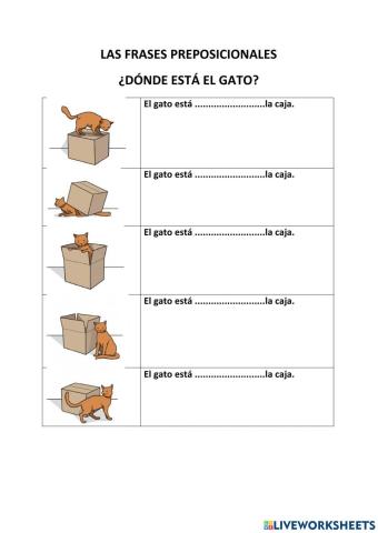 ¿Dónde está el gato?