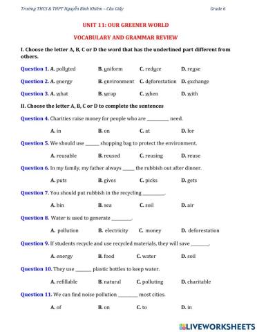 G6-U11- Vocabulary and Grammar review
