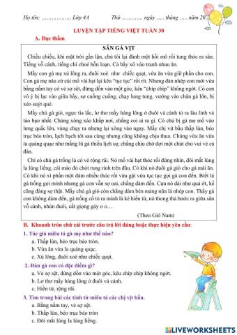 Luyện TV tuần 30