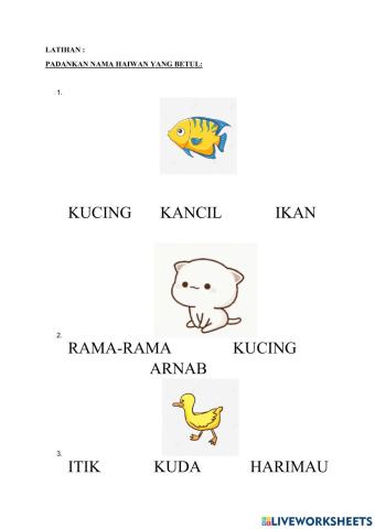 Mari mengenal haiwan