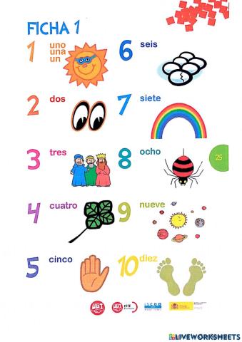 Números y plurales A1 niños principiantes