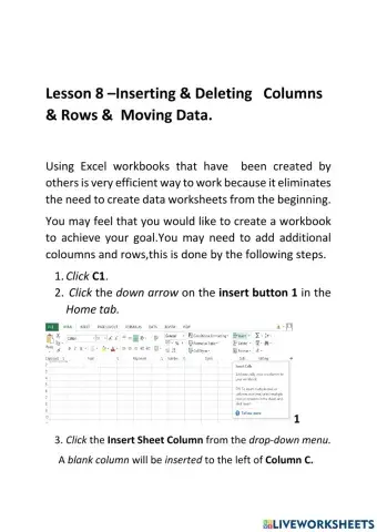 Lesson 8 Inserting & Deleting Columns& Rows