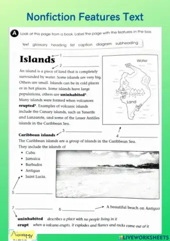 Nonfiction Features Text