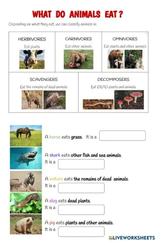What animals EAT