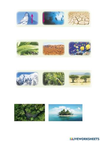 Form 5 animals unit 8