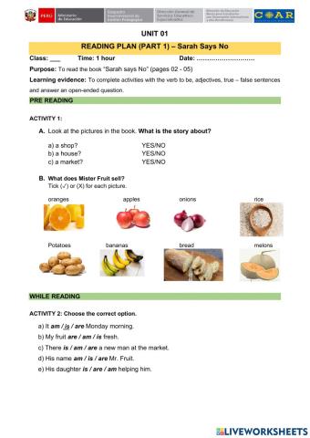 Sara Says No (pages 2-5)