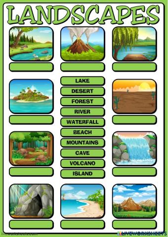 Vocabulary worksheet