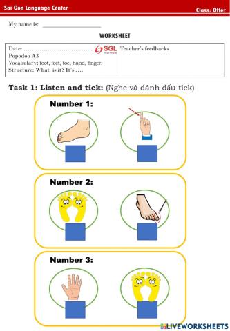 PPD - A3 - Foot, hand, finger, toe