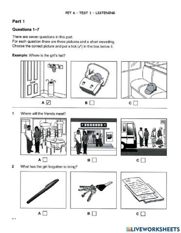 Pet 6 - test 1