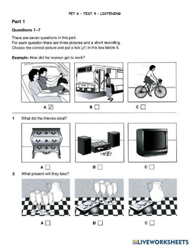 Pet 6 - test 4