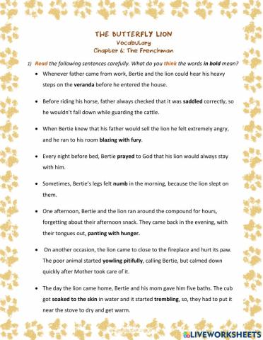 The butterfly lion - ch 6 (Vocabulary)