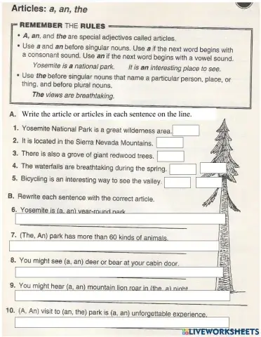 Articles: a, an, the