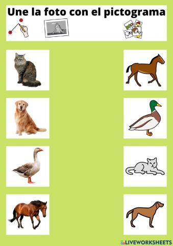 Une la foto con el pictograma