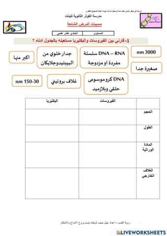 ورقة عمل مقارنة بين الفيروسات والبكتيريا
