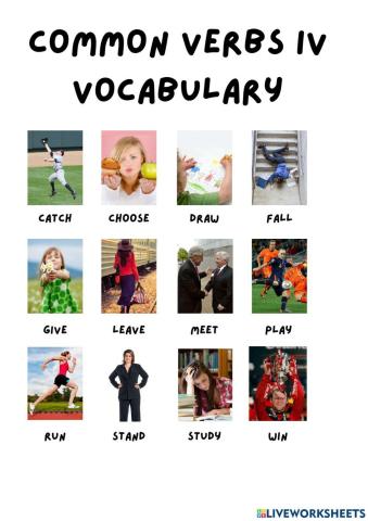 Common verbs IV vocabulary presentation