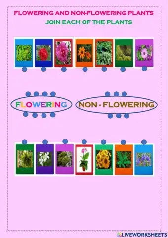 Flowering and non-flowering plants