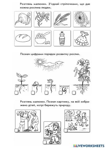 Світ рослин