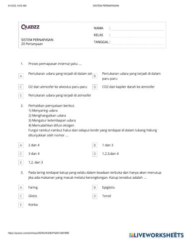 Try out sistem pernapasan