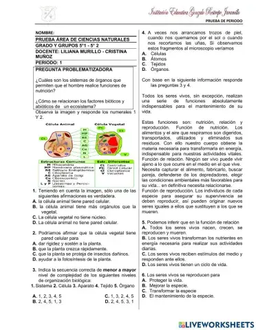 Prueba área de ciencias naturales