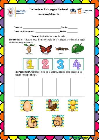 Distintas formas de vida