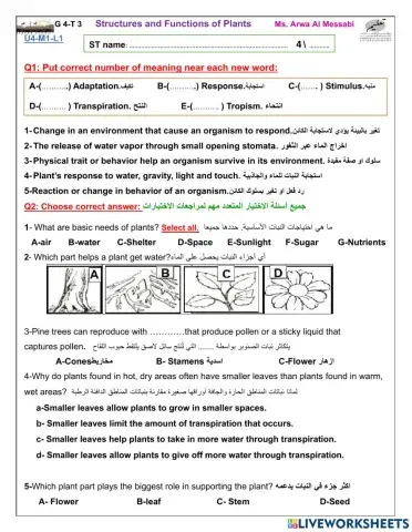 U4-M1-L1-Structures and Functions of Plants