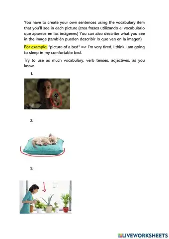 EVERY DAY ITEMS TEST 