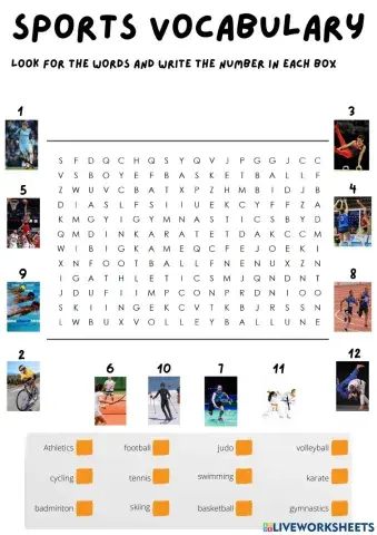 Sports wordsearch