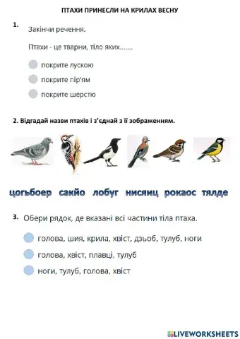 Птахи принесли на кри лах весну