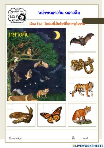 หน่วยกลางวัน กลางคืน