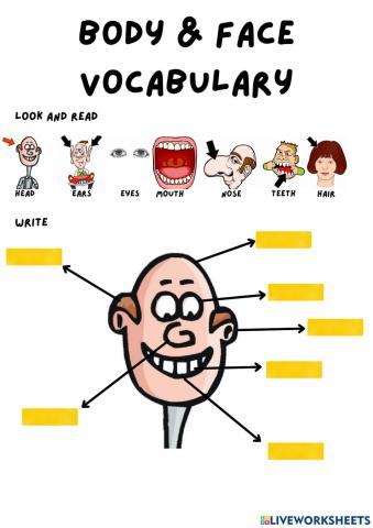 Face vocabulary