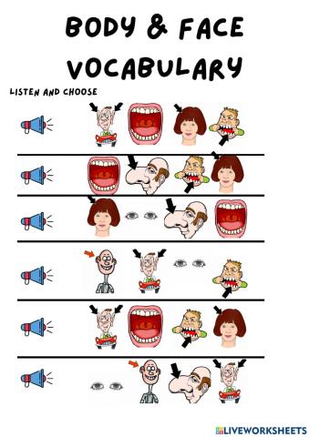 Parts of the face vocabulary