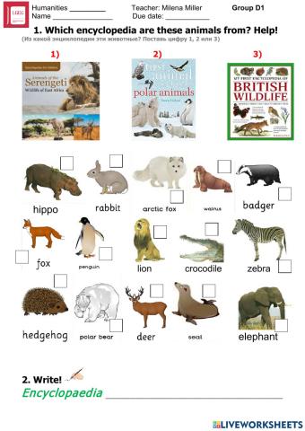 Animals and their Habitat