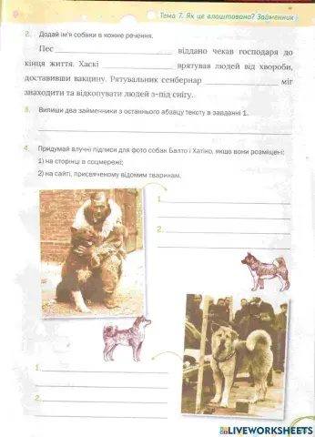 Тема 7. Займенник (2)