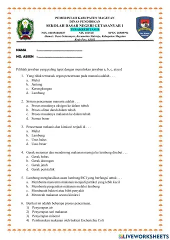 Soal Pencernaan Manusia