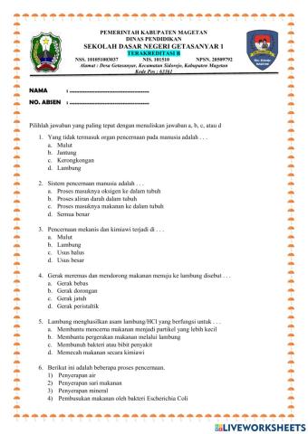 Soal Pencernaan Manusia