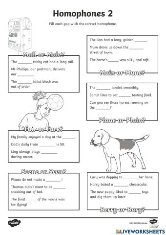 Homophones 2