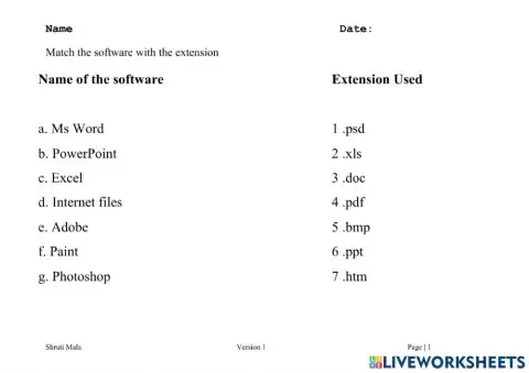 Sofware Extensions